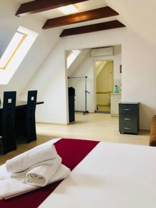 Joy City Stay Unirii 41 2 Timișoara Zewnętrze zdjęcie