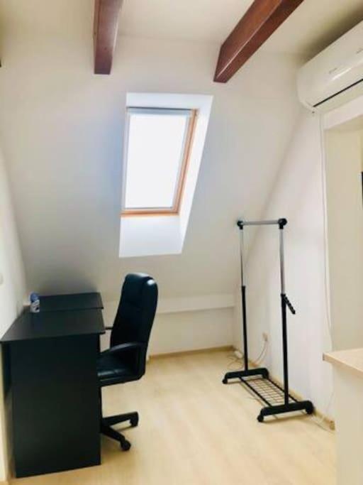 Joy City Stay Unirii 41 2 Timișoara Zewnętrze zdjęcie