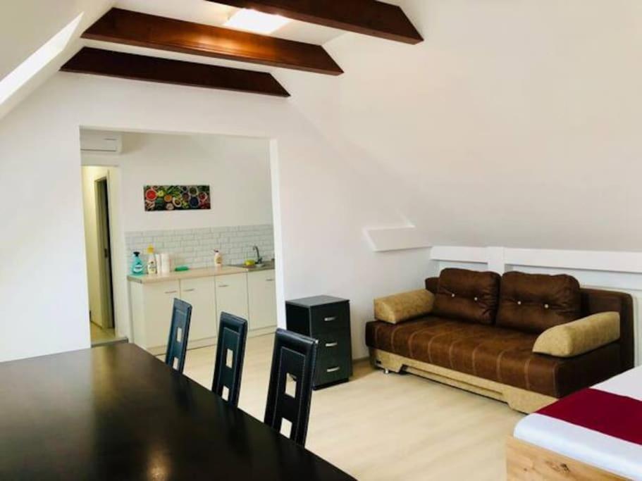 Joy City Stay Unirii 41 2 Timișoara Zewnętrze zdjęcie
